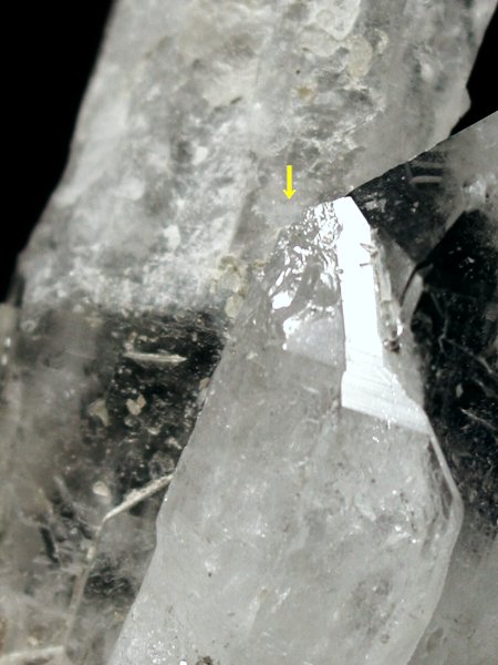 CgjONX^254g(310)