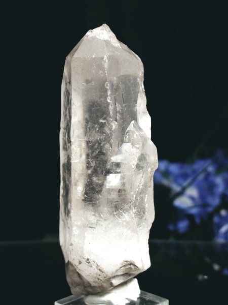 CgjONX^369g(311)
