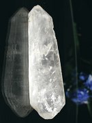 CgjONX^<br>238g(313)