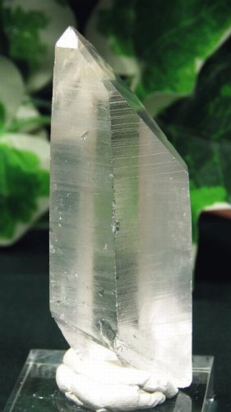  / ACgjONX^(333)65g