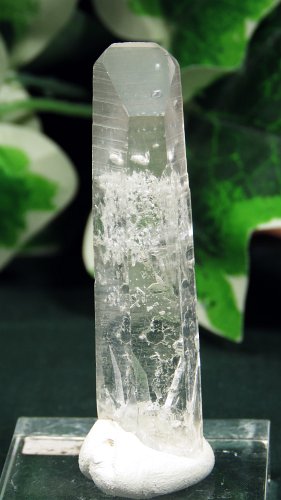  / ACgjONX^(335)15g
