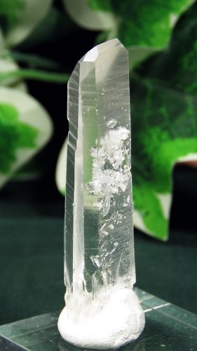  / ACgjONX^(335)15g