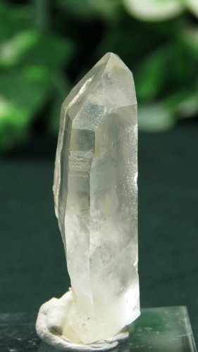 CgjONX^(377)20g