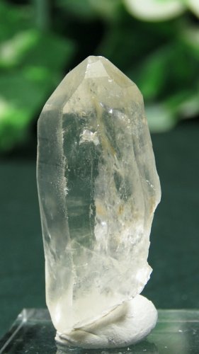 CgjONX^(377)20g