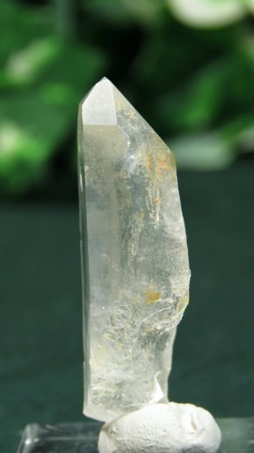 CgjONX^(377)20g
