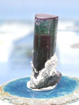 EI[^g}23.7g