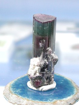 EI[^g}23.7g