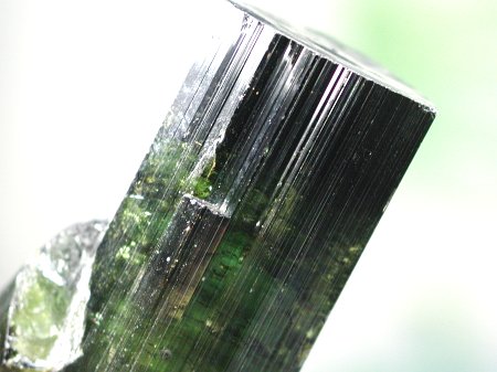 Ng}56.5g