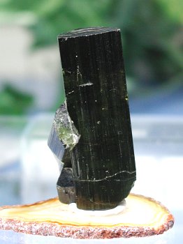 Ng}56.5g