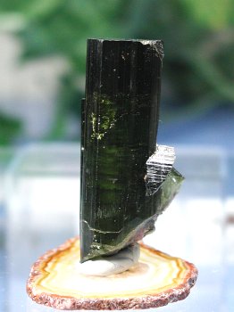 Ng}56.5g