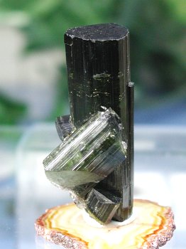Ng}56.5g