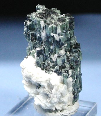 �g���}�������� �u���W���Y (44)