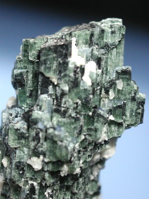 �g���}�������� �u���W���Y (44)