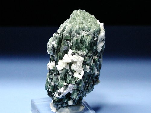 �g���}�������� �u���W���Y (48)