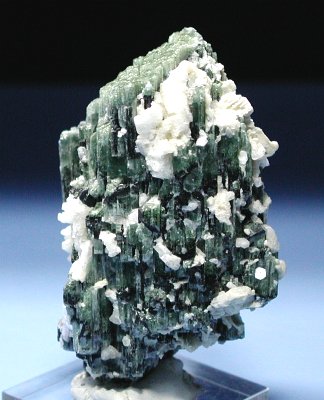 �g���}�������� �u���W���Y (48)