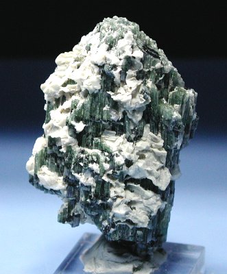 �g���}�������� �u���W���Y (48)