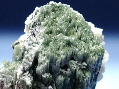 �g���}�������� �u���W���Y (48)