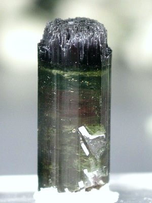 oCJ[g}