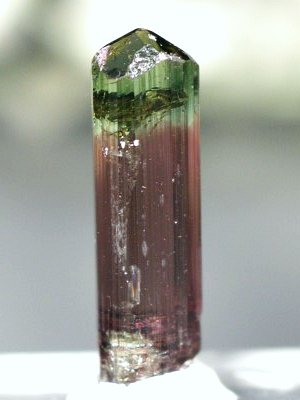 oCJ[g}(57)