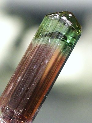 oCJ[g}(57)