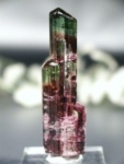 oCJ[g}<br>(61)