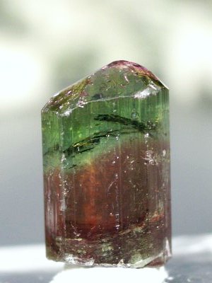 �o�C�J���[�g���}�������� �u���W���Y 6.6g (65)