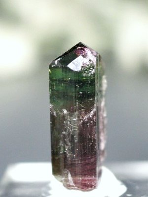 �o�C�J���[�g���}�������� �u���W���Y 6.6g (65)