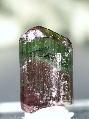 �o�C�J���[�g���}�������� �u���W���Y 6.6g (65)