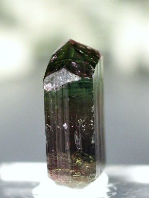 �o�C�J���[�g���}�������� �u���W���Y 6.6g (65)