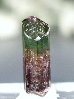 �o�C�J���[�g���}�������� �u���W���Y 6.2g (67)