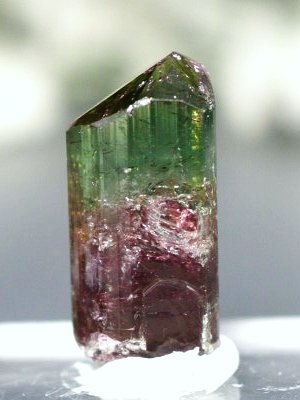 �o�C�J���[�g���}�������� �u���W���Y 6.2g (67)