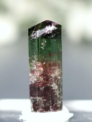 �o�C�J���[�g���}�������� �u���W���Y 6.2g (67)