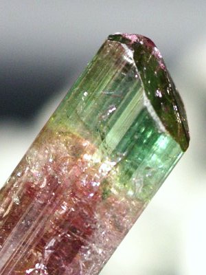 �o�C�J���[�g���}�������� �u���W���Y 6.2g (67)