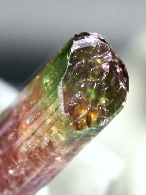 �o�C�J���[�g���}�������� �u���W���Y 6.2g (67)