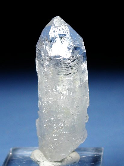 �g���C�S�[�j�b�N���� �u���W���Y 32g (48)