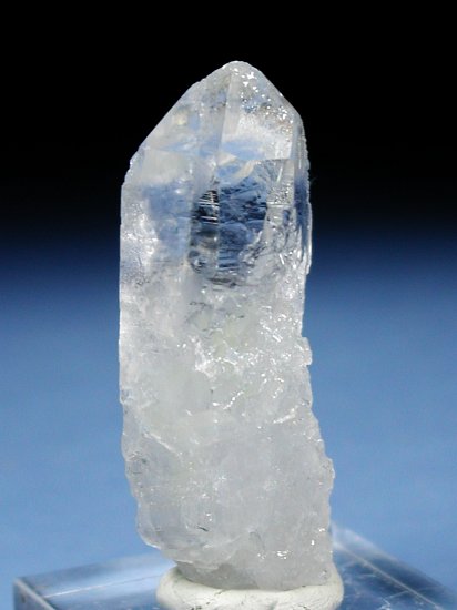 �g���C�S�[�j�b�N���� �u���W���Y 32g (48)