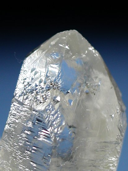 �g���C�S�[�j�b�N���� �u���W���Y 32g (48)