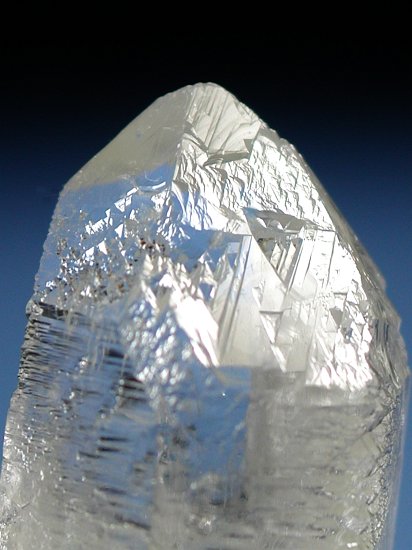 �g���C�S�[�j�b�N���� �u���W���Y 32g (48)