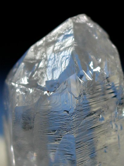 �g���C�S�[�j�b�N���� �u���W���Y 43g (49)