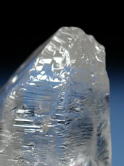 �g���C�S�[�j�b�N���� �u���W���Y 43g (49)