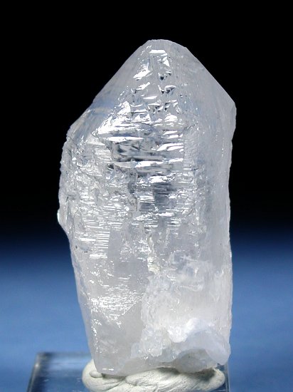 �g���C�S�[�j�b�N���� �u���W���Y 99g (53)