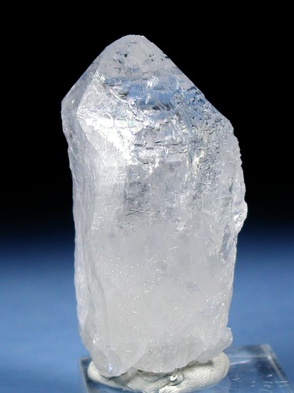 �g���C�S�[�j�b�N���� �u���W���Y 99g (53)