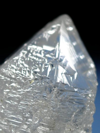 �g���C�S�[�j�b�N���� �u���W���Y 99g (53)