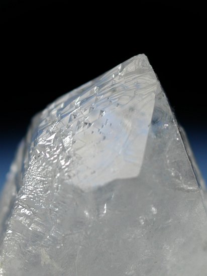 �g���C�S�[�j�b�N���� �u���W���Y 99g (53)