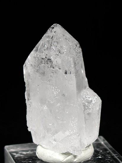 �g���C�S�[�j�b�N���� �u���W���Y 44g (64)