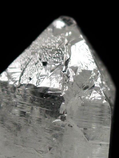 �g���C�S�[�j�b�N���� �u���W���Y 44g (64)