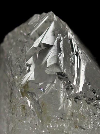 �g���C�S�[�j�b�N���� �u���W���Y 33g (68)