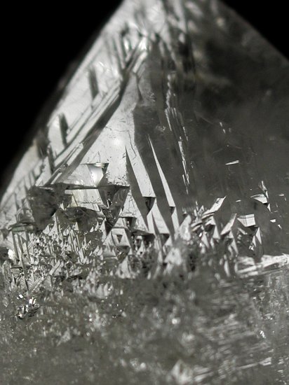 �g���C�S�[�j�b�N���� �u���W���Y 33g (68)