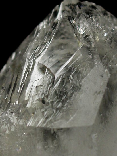 �g���C�S�[�j�b�N���� �u���W���Y 33g (68)