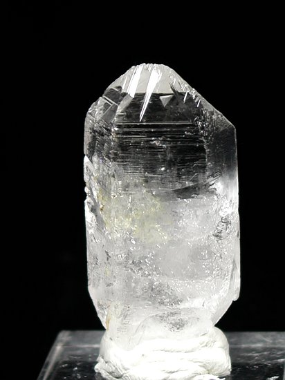 �g���C�S�[�j�b�N���� �u���W���Y 26g (69)